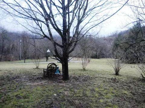 1668 Buffalo Rd, Buchanan, VA 24066 photo 27