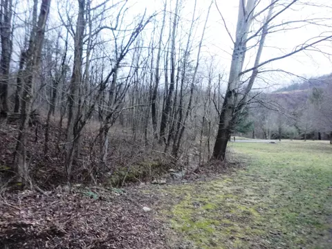 1668 Buffalo Rd, Buchanan, VA 24066 photo 33