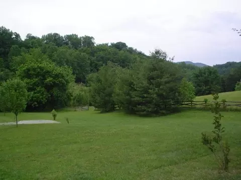 1668 Buffalo Rd, Buchanan, VA 24066 photo 21
