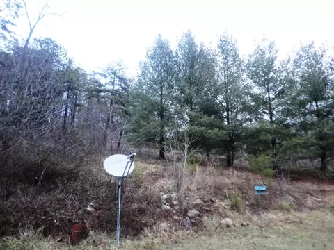 1668 Buffalo Rd, Buchanan, VA 24066 photo 34