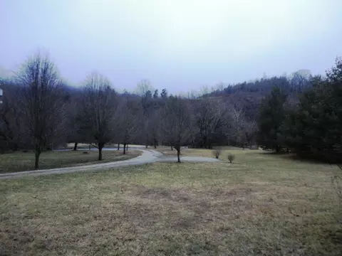 1668 Buffalo Rd, Buchanan, VA 24066 photo 26