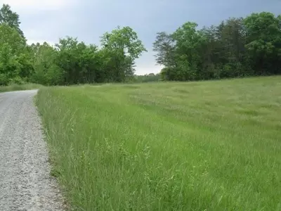 1000 Barridge Rd, Penhook, VA 24137 photo 20