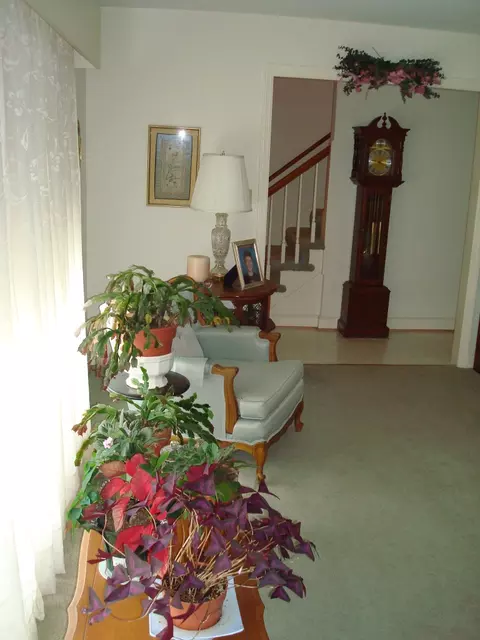 3330 Trinkle Ave NW, Roanoke, VA 24012 photo 20