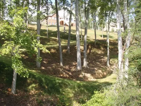 1170 Loggers Rd, Goodview, VA 24095 photo 8