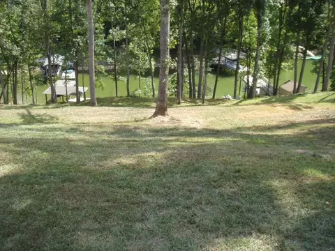 1170 Loggers Rd, Goodview, VA 24095 photo 5