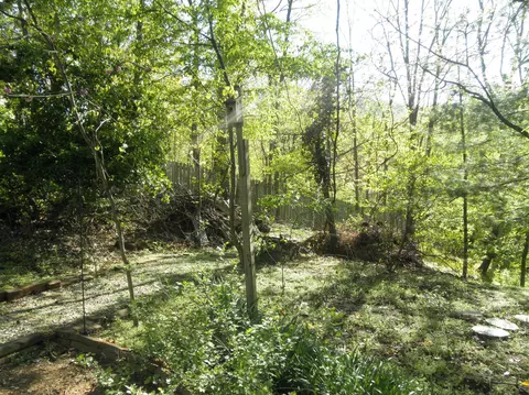 208 Eagle Dr, Salem, VA 24153 photo 37