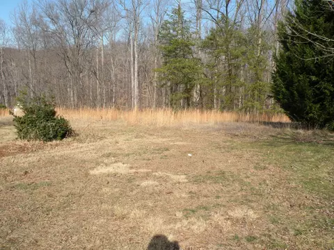 105 Brightview Ct, Goodview, VA 24095 photo 5