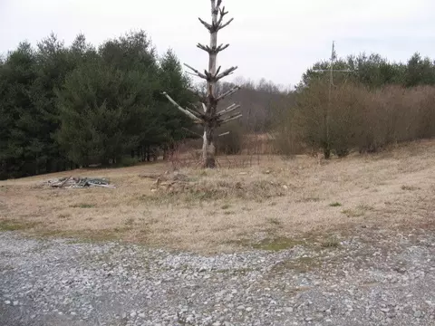 1753 Sandy Level Rd, Goodview, VA 24095 photo 3