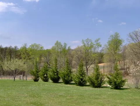 103 Windy Hill Ct, Sandy Level, VA 24161 photo 28