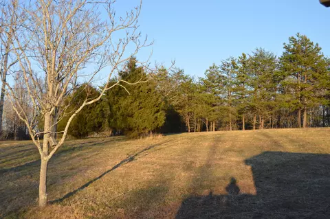 160 River Ridge Dr, Sandy Level, VA 24161 photo 14