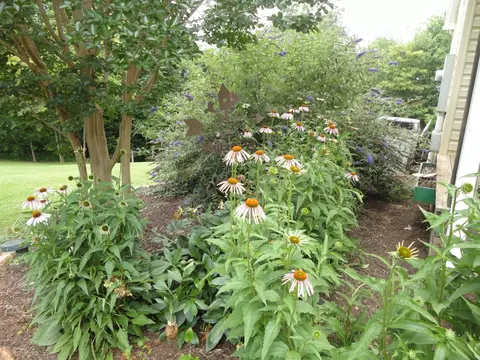 2873 Haw Patch Rd, Ferrum, VA 24088 photo 28