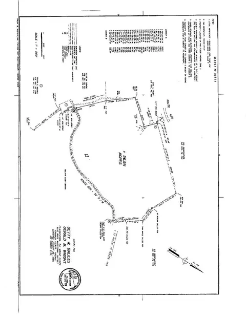 2873 Haw Patch Rd, Ferrum, VA 24088 photo 29