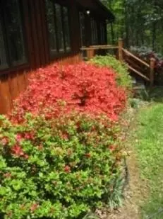 144 Ferrum Forest Ln, Ferrum, VA 24088 photo 40