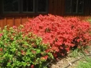 144 Ferrum Forest Ln, Ferrum, VA 24088 photo 39