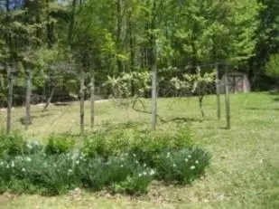 144 Ferrum Forest Ln, Ferrum, VA 24088 photo 44