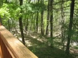 144 Ferrum Forest Ln, Ferrum, VA 24088 photo 49
