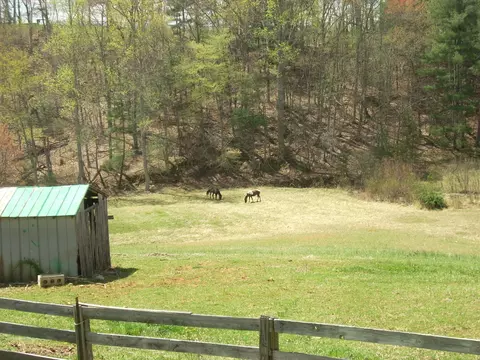 325 Sawmill Rd, Ferrum, VA 24088 photo 6