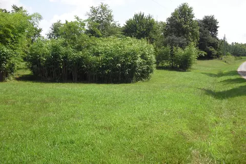 7821 Grassland Dr, Sandy Level, VA 24161 photo 3