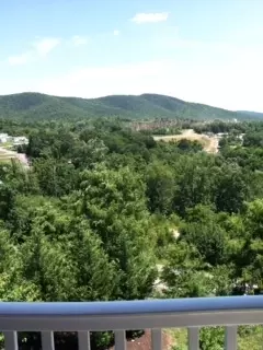 4448 Pheasant Ridge Rd #202, Roanoke, VA 24014 photo 6
