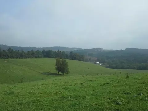468 Kyle Weeks Rd, Willis, VA 24380 photo 10