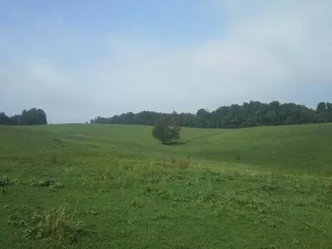 468 Kyle Weeks Rd, Willis, VA 24380 photo 6