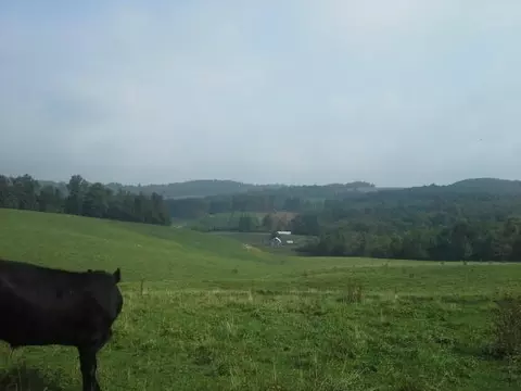 468 Kyle Weeks Rd, Willis, VA 24380 photo 5