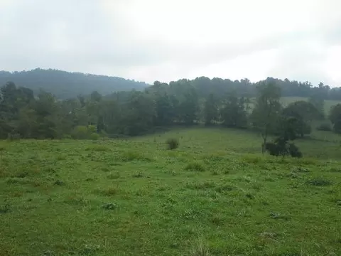 468 Kyle Weeks Rd, Willis, VA 24380 photo 14
