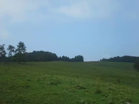 468 Kyle Weeks Rd, Willis, VA 24380 photo 13