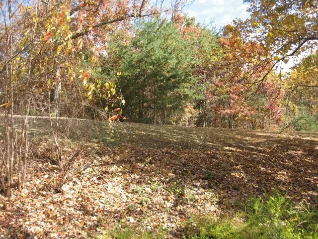 5246 Burnt Quarter Dr, Vinton, VA 24179 photo 3