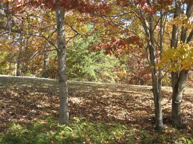  5246 Burnt Quarter Dr, Vinton, VA 24179 photo 2