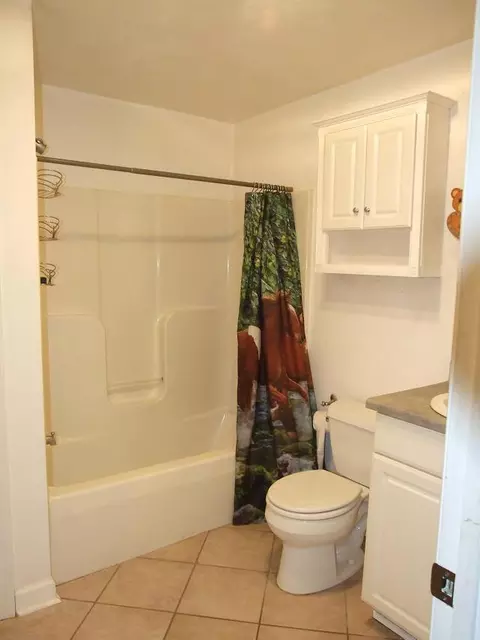 2880 Lithia Rd, Buchanan, VA 24066 photo 8