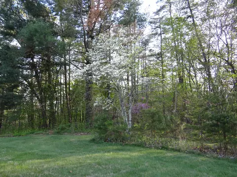 241 Rustic Ridge Rd, Ferrum, VA 24088 photo 11