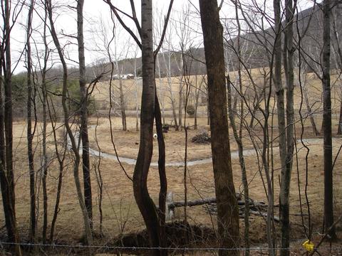 2502 Bore Auger Rd, Blue Ridge, VA 24064 photo 80