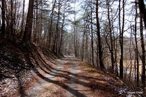2502 Bore Auger Rd, Blue Ridge, VA 24064 photo 65