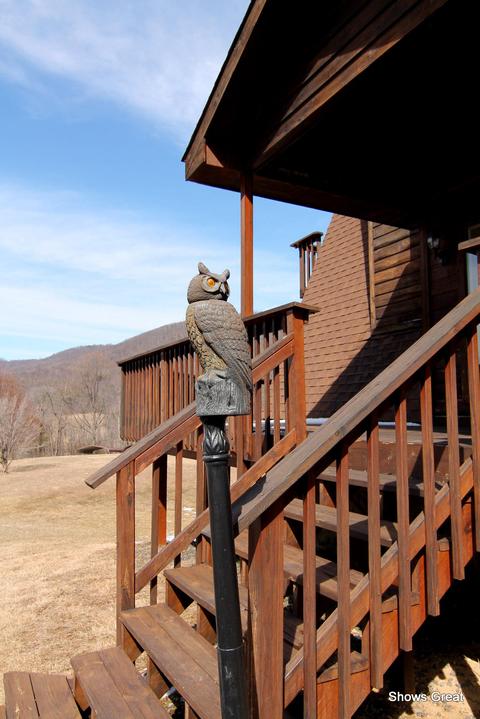 2502 Bore Auger Rd, Blue Ridge, VA 24064 photo 48