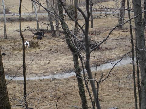 2502 Bore Auger Rd, Blue Ridge, VA 24064 photo 81