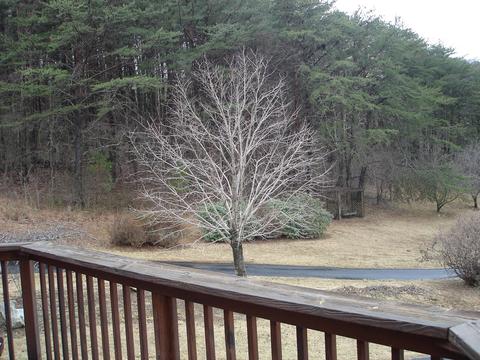 2502 Bore Auger Rd, Blue Ridge, VA 24064 photo 73