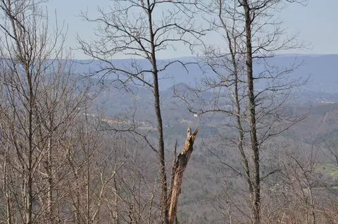 516 Easter Mountain Ln, Boones Mill, VA 24065 photo 8