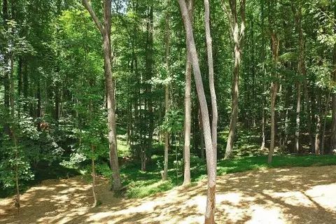 32 Niblicks Cir, Penhook, VA 24137 photo 53