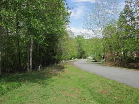 85 Walnut Trace Dr, Hardy, VA 24101 photo 55