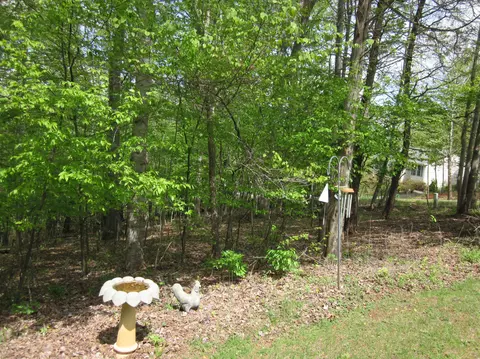 85 Walnut Trace Dr, Hardy, VA 24101 photo 46