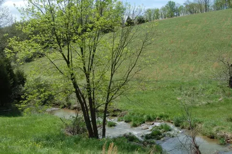 3701 Frontage Rd, Buchanan, VA 24066 photo 8