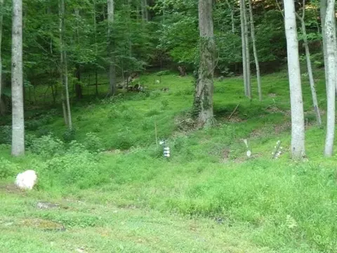 884 Griffith Hill Rd, Ferrum, VA 24088 photo 25