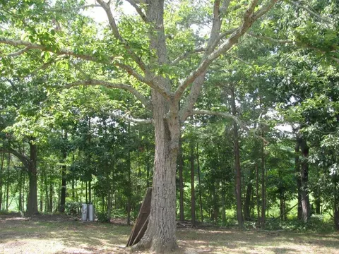 3696 Yorkshire Dr, Sandy Level, VA 24161 photo 34