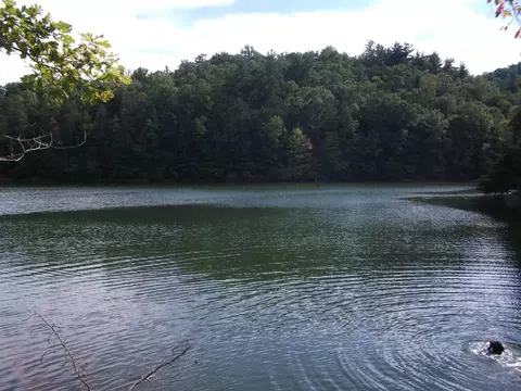 1765 Otter Dr, Ferrum, VA 24088 photo 25
