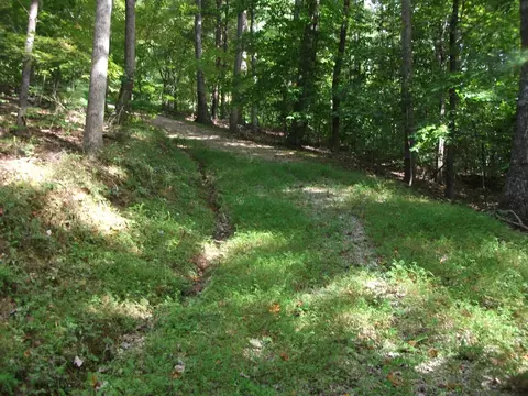 1765 Otter Dr, Ferrum, VA 24088 photo 22