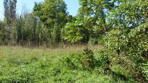 6594 Doe Run Rd, Rocky Mount, VA 24151 photo 2