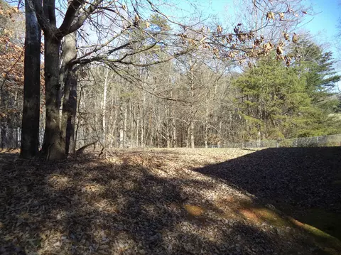1565 Pineview Dr, Vinton, VA 24179 photo 17