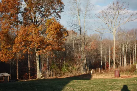 9455 Goodview Rd, Goodview, VA 24095 photo 30