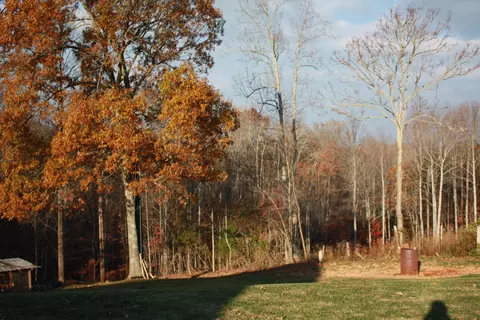 9455 Goodview Rd, Goodview, VA 24095 photo 31